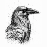 Corbeau-Dessous de verre