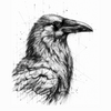 Corbeau-Dessous de verre