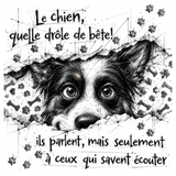 Drôles de bêtes - Dessous de verre céramique