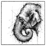 Portrait éléphant Asie - Dessous de verre