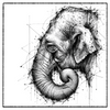 Portrait éléphant Asie - Dessous de verre