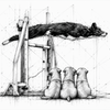 Agility