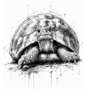 tortue dessous de verre céramique
